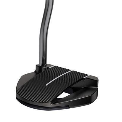 Ping 2021 Fetch Putter